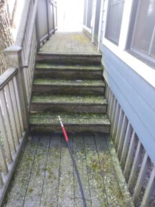 composite deck with lots of moss, lichen, and algae before cleaning.
